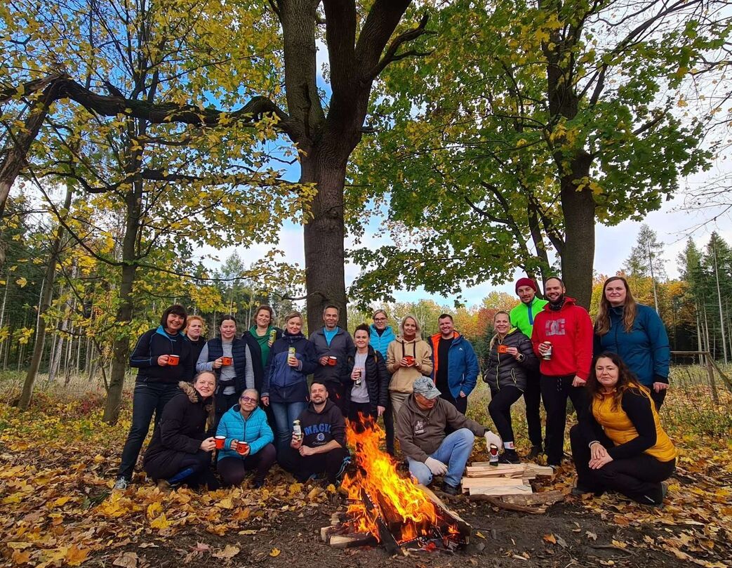 Akce INSIA